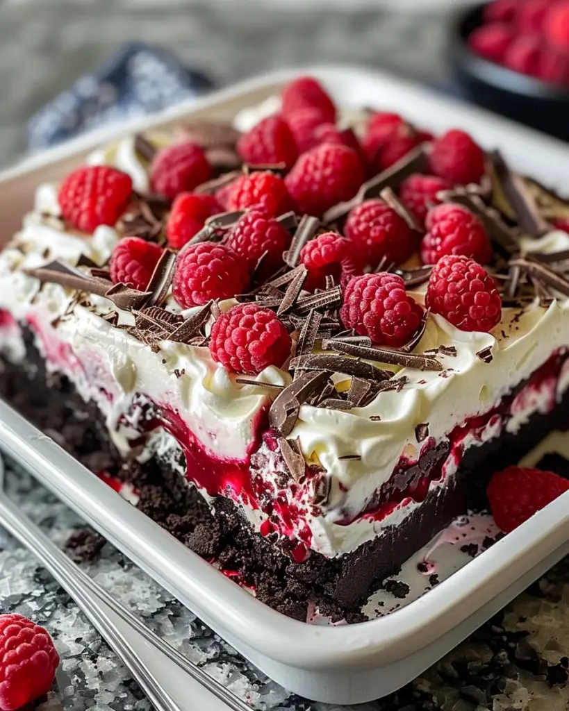 Raspberry Chocolate Lasagna 4 2 1 12